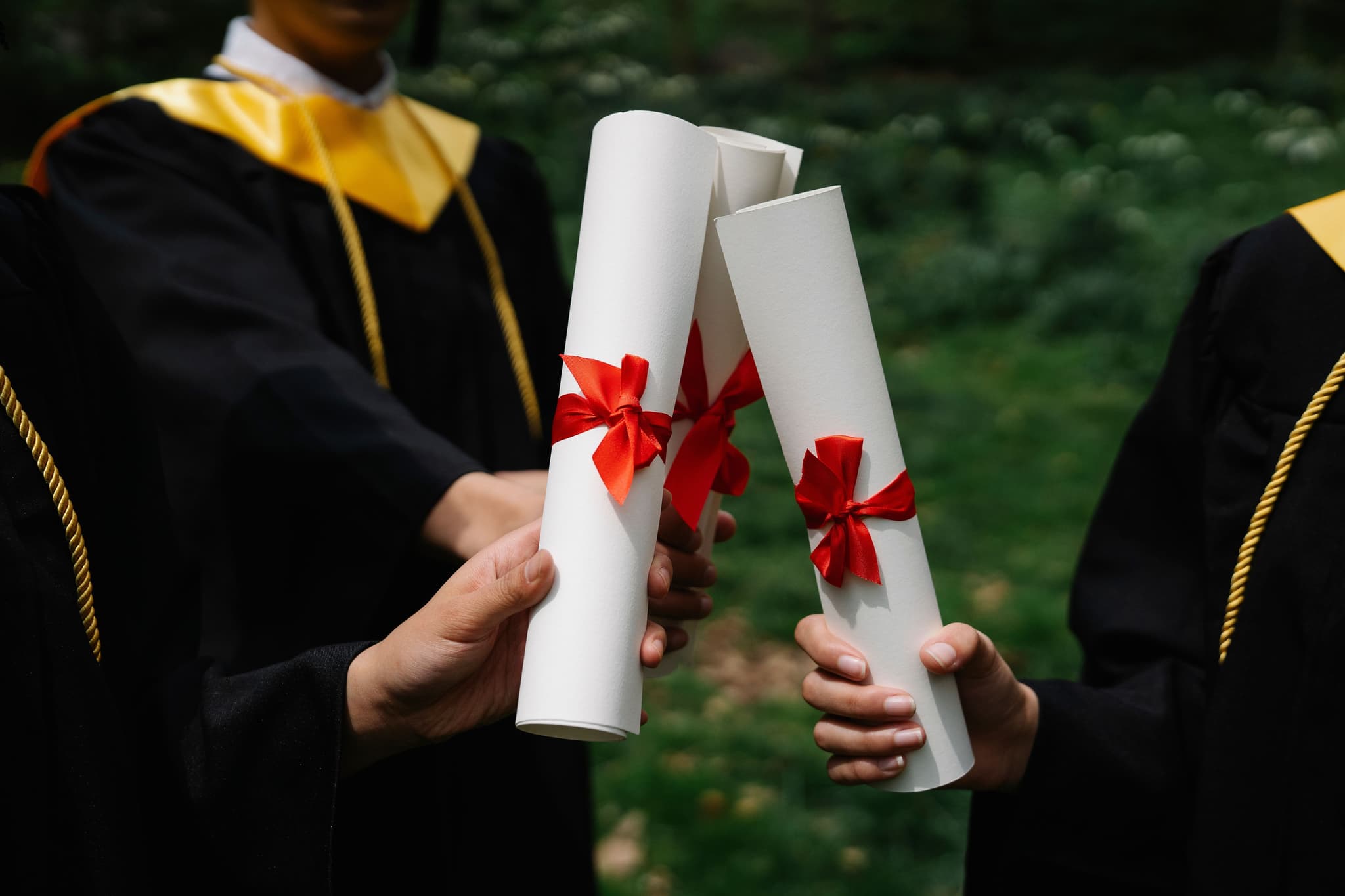 Blog: Diploma vs Degree in Counselling: Which Path Is Right?