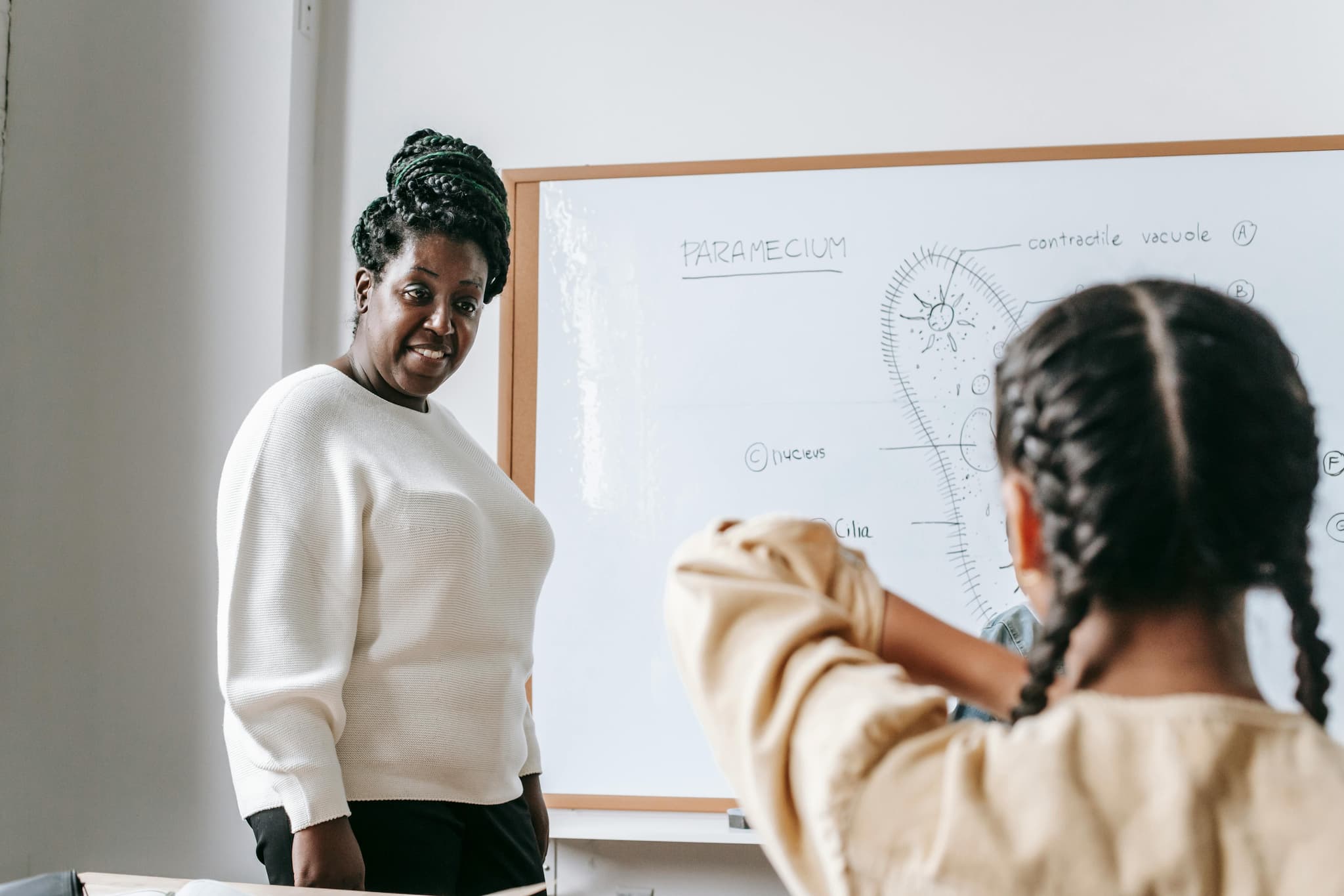 Blog: Psychology Degree in Sri Lanka Career Pathways & Next Steps