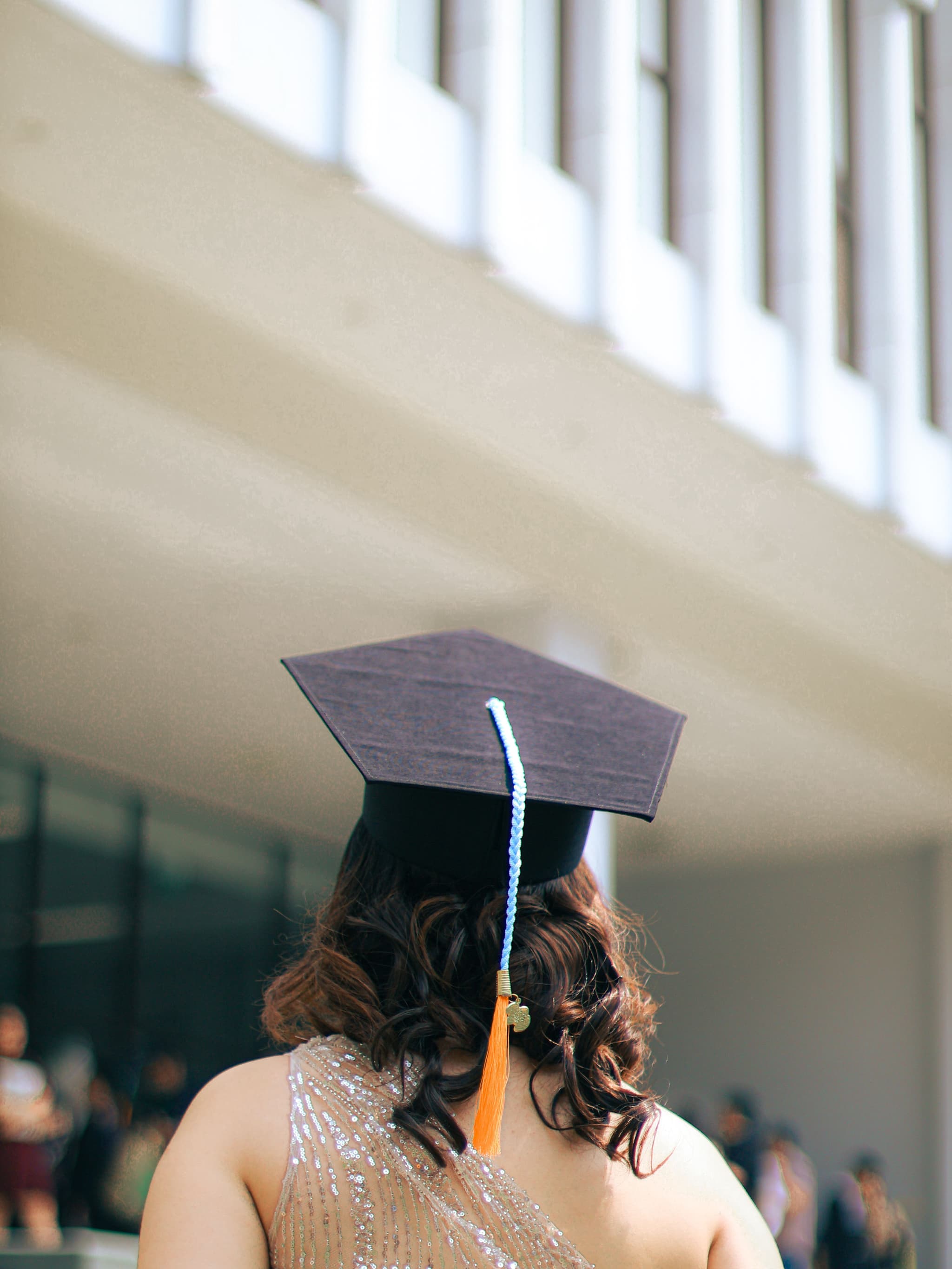 Blog: Best Courses After a Diploma in Psychology
